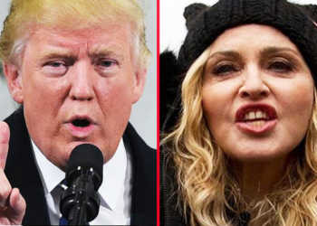 Understanding Hollywood’s Frustration with Trump