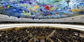 united nations human rights