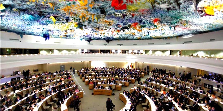 unhrc, united nations