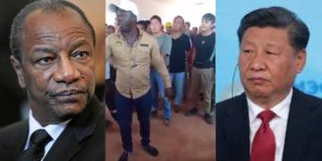 Guinea China citizens