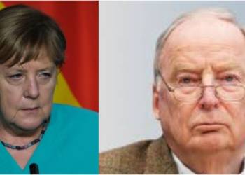 The AfD could spoil Merkel’s chances and rescue Europe from becoming a Chinese crony