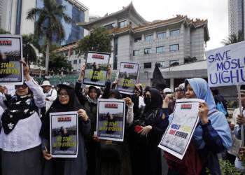 china uyghur organ harvesting