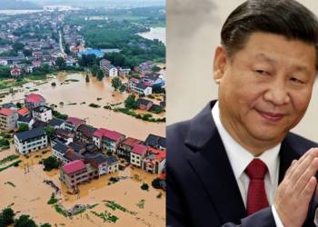 China Remove term: Wuhan floods Wuhan floods Remove term: Yangtze Yangtze Remove term: Three Gorges Dam Three Gorges Dam