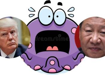 China US Octopus octopuses spy planes