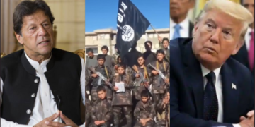 Pakistan, terrorists