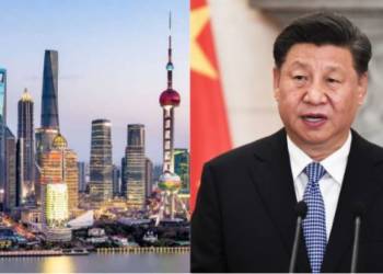 china foreign investors