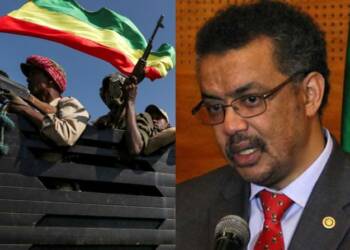Ethiopia, Tigray, Dr Tedros