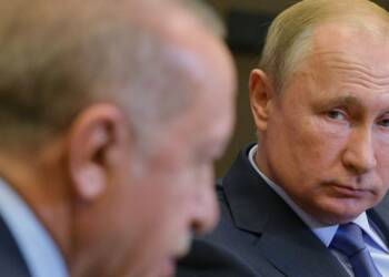 putin erdogan vaccine russia turkey