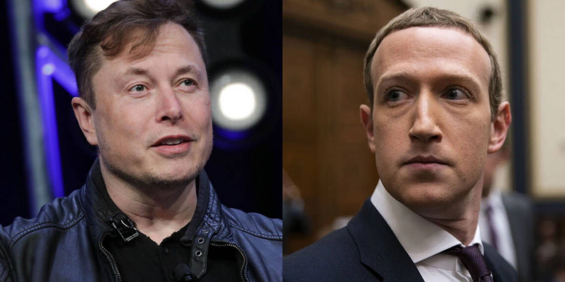 Elon Musk, Tesla, Chinese