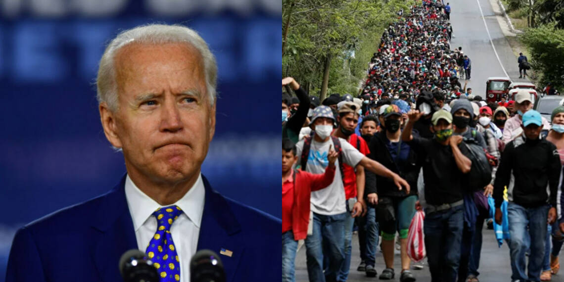 Biden, Immigrant, Trump