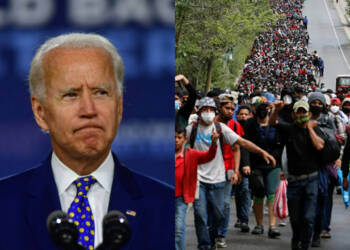 Biden, Immigrant, Trump