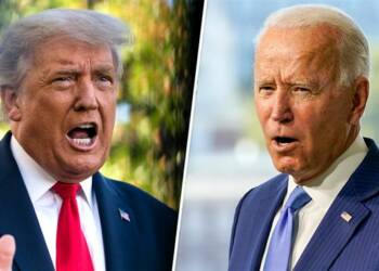 Donald Trump, Biden, Illegal immigrant