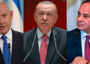 Egypt, Turkey, Israel, Erdogan