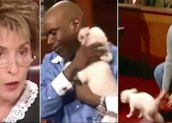 Judge Judy lost dog court scene