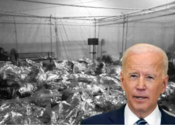 As a full-blown humanitarian crisis breaks out at the Mexico border, Biden is forcing Republicans to delete evidence