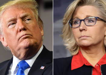 Donald Trump, Republicans, Democrats, Liz Cheney, USA