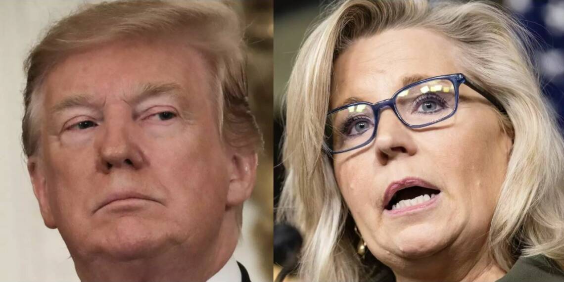 trump liz cheney