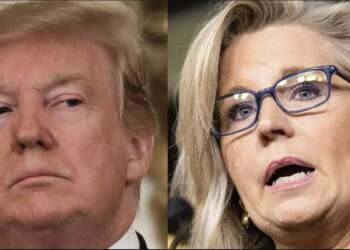 trump liz cheney
