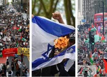 World, pro-Palestine,