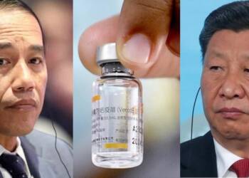 Indonesia, Vaccines, Covid, Chinese
