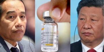Indonesia, Vaccines, Covid, Chinese