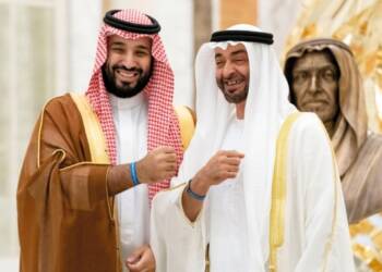 MBS and MBZ: The two leaders who are changing the Arab world forever