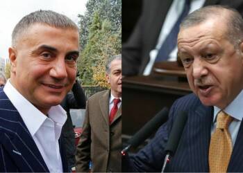 Peker, Erdogan,