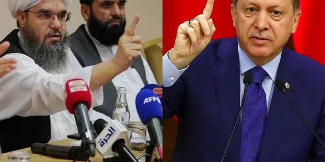 Turkey, Taliban, Afghanistan, Erdogan