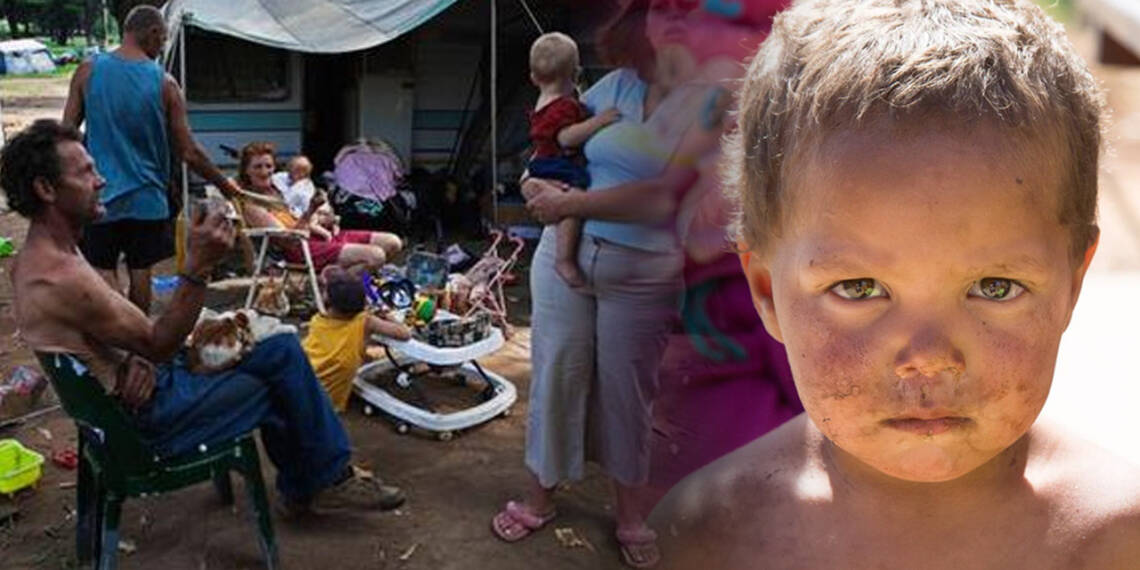 white population south africa