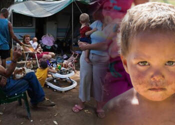 white population south africa