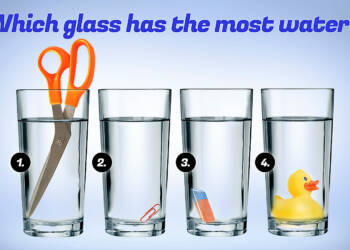 The Puzzle- which glass has more water?