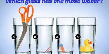 The Puzzle- which glass has more water?
