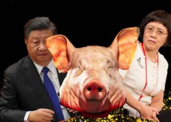 Pig head, Xi Jinping, Hu Shuli, Caixin Media