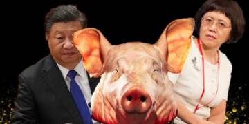 Pig head, Xi Jinping, Hu Shuli, Caixin Media