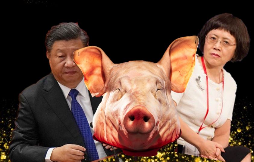 Pig head, Xi Jinping, Hu Shuli, Caixin Media