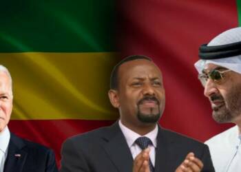 UAE, Ethiopia, Biden, Bin Zayed