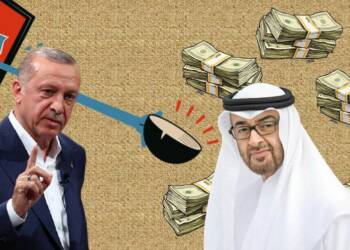 Economically Devastated Turkey is looking forward to the UAE buying it out