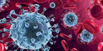 Natural Immunity to COVID 19