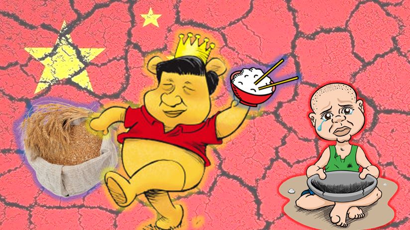 China, Jinping, Food, CCP