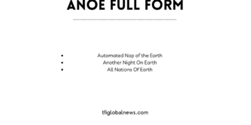 ANOE Stand For Table