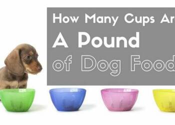 how many cups in a pound of dog food