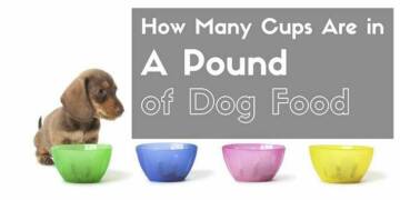 how many cups in a pound of dog food