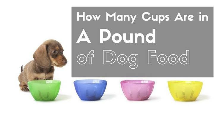 How Many Cups in 24 Lbs of Dog Food? 2