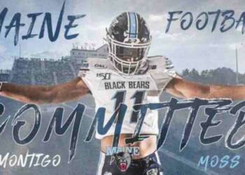 Montigo Moss game banner