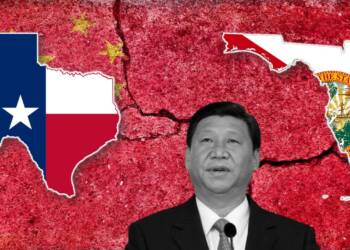 Rear Earth US Texas Florida