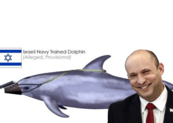 Israel, Hamas, Dolphins, dolphin, killer