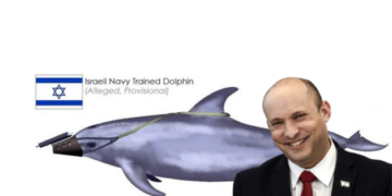 Israel, Hamas, Dolphins, dolphin, killer