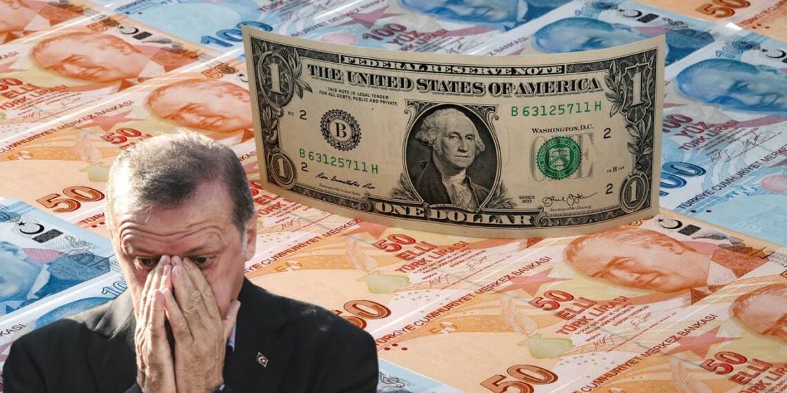 Turkey Lira Erdogan Citizenship