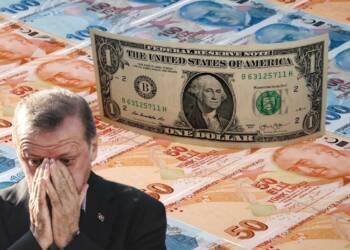 Turkey Lira Erdogan Citizenship