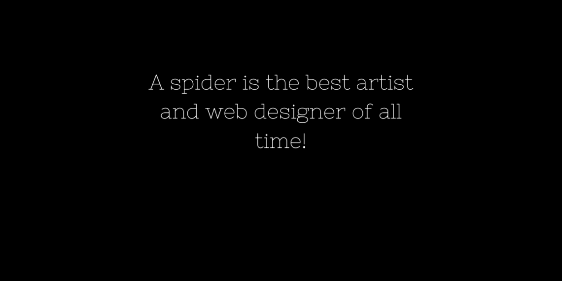 Collection of best Spider Web quotes - TFIGlobal